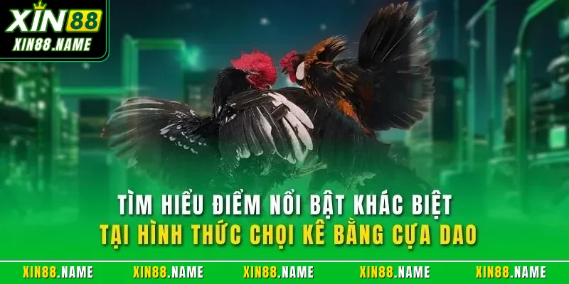 Tìm hiểu điểm nổi bật khác biệt tại hình thức chọi kê bằng cựa dao